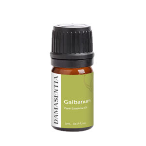 Galbanum Essential Oil